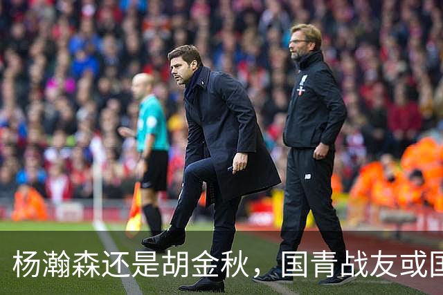 杨瀚森还是胡金秋，国青战友或国家队大哥，谁更适合搭档王俊杰？